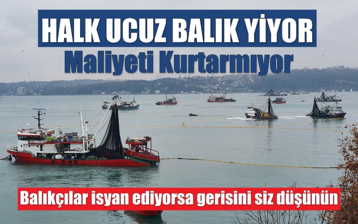 Balıkçılar isyan ediyorsa gerisini siz düşünün