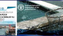 2022 Küçük Ölçekli Balıkçılık ve Su Ürünleri Yetiştiriciliği Yılı İlan Edildi