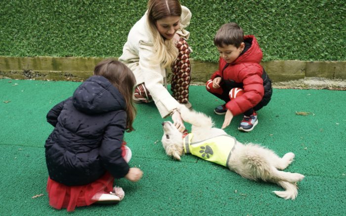 ÇOCUKLARIN OKULU FOKS KÖPEĞE YUVA OLDU