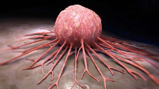 Kansere Karşı Dost Mikropların Önemi