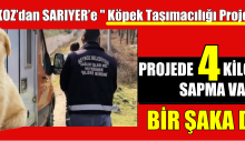 Beykoz’dan Sarıyer’e Köpek Taşımacılığı Projesi