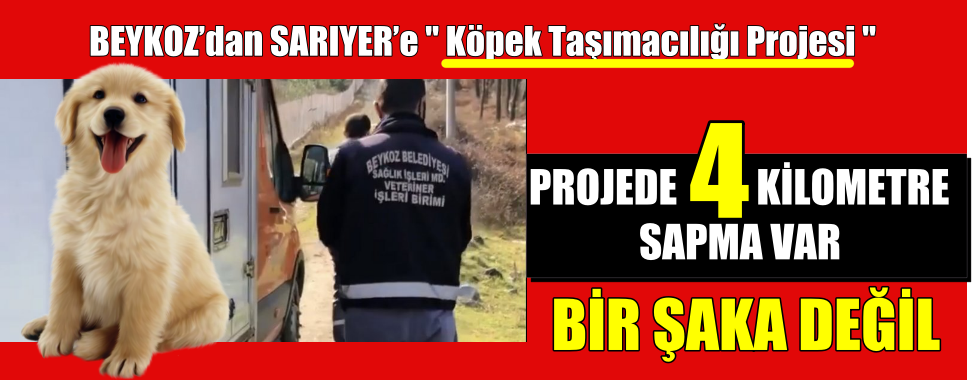 Beykoz’dan Sarıyer’e Köpek Taşımacılığı Projesi