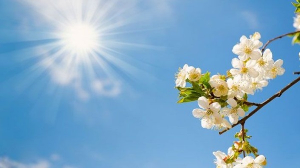 Bahar Müjdesi Geldi