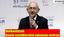 Delikanlıysan benim istediklerimin tamamını verirsin