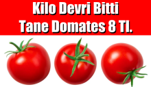 Kilo devri bitti tane domates 8 Tl.
