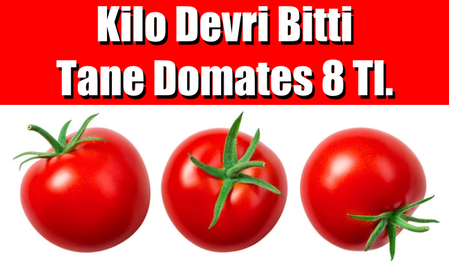 Kilo devri bitti tane domates 8 Tl.