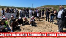 GÖÇ EDEN BALIKLARIN SORUNLARINA DİKKAT ÇEKİLDİ