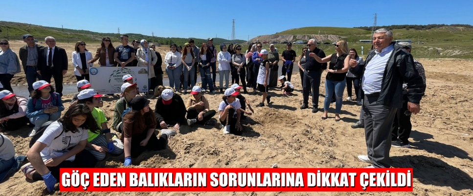 GÖÇ EDEN BALIKLARIN SORUNLARINA DİKKAT ÇEKİLDİ