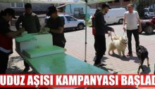 KUDUZ AŞISI KAMPANYASI BAŞLADI