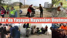 HATAY’’da Yaşayan Hayvanları Unutmadık