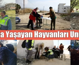 HATAY’’da Yaşayan Hayvanları Unutmadık