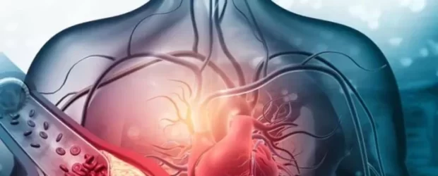 Damar Sağlığını Korumak İçin 5 Öneriye Dikkat