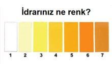 İdrar Renklerinin Anlamı Nedir?