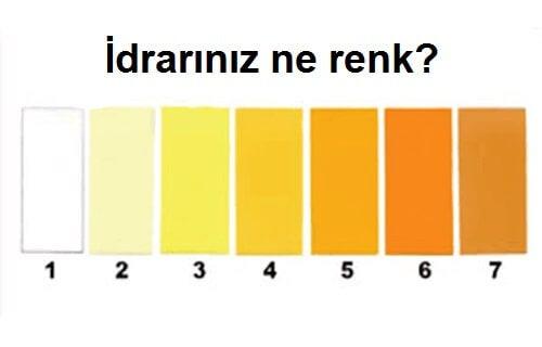 İdrar Renklerinin Anlamı Nedir?