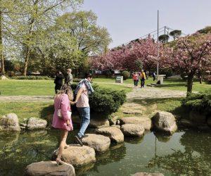 Baltalimanı Japon Bahçesi Bir İlkbahar Deneyimi