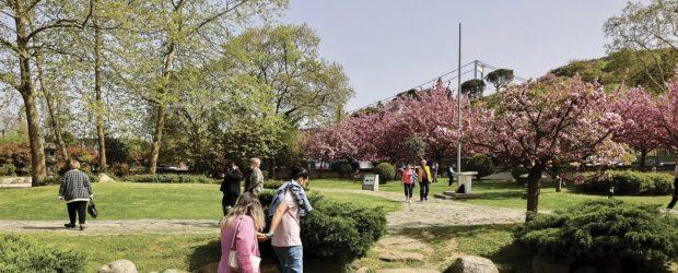 Baltalimanı Japon Bahçesi Bir İlkbahar Deneyimi